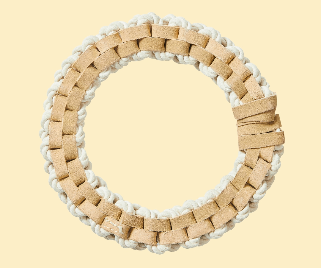 dogtoy image